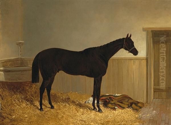 The Thoroughbred 'mickey Free' - view 1