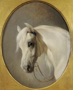 Studies Of Horses Heads - Bay And Grey by John Frederick Herring Snr
