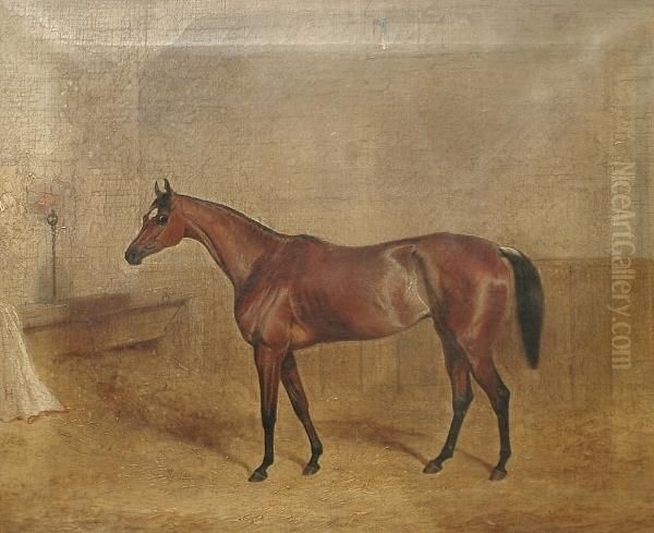 Portrait Of 'miami' In A Stable - view 1