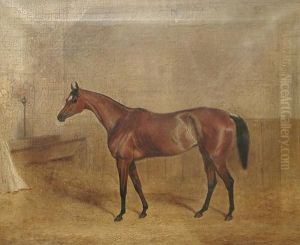 Portrait Of 'miami' In A Stable by John Frederick Herring Snr