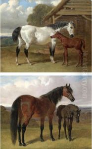 A Mare And Foal Beside A Stable; A Mare And Foal In A Landscape