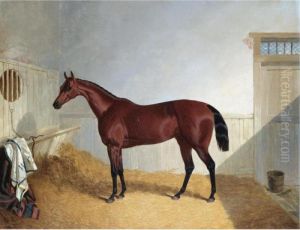 Beeswing, A Dark Bay Racehorse In A Stable