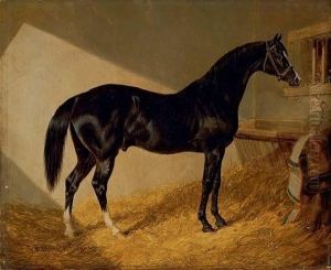 Camel, Winner Of The 1826 Port Stakes, In A Stable