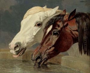 A Grey And A Dark Bay, Drinking At A Trough by John Frederick Herring Snr