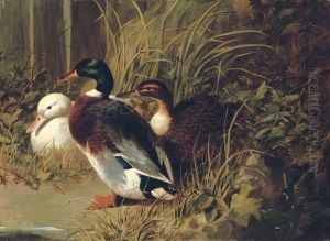 Ducks By A Riverbank by John Frederick Herring Snr