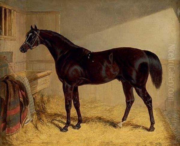 Touchstone, Winner Of The 1834 St. Leger, In A Stable - view 1
