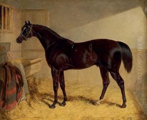 Touchstone, Winner Of The 1834 St. Leger, In A Stable