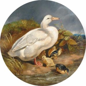 Duck And Ducklings by John Frederick Herring Snr