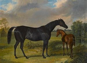 Pipylina And Foal by John Frederick Herring Snr
