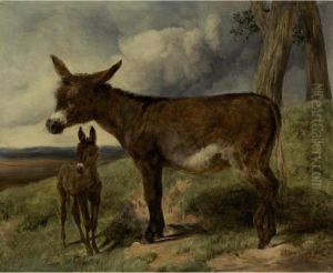 Donkeys