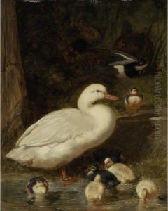 A Duck And Ducklings by John Frederick Herring Snr