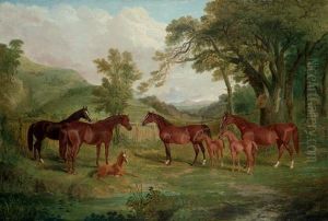 The Streatlam Stud, Mares And Foals by John Frederick Herring Snr