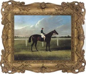 Portrait Of A Racehorse, With Jockey Up