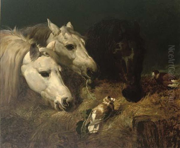 Sharing The Hay - view 1