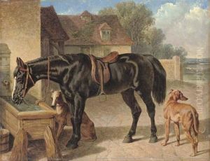 A Farmer's Hack And Greyhounds