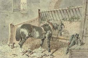 A Carthorse In A Stall