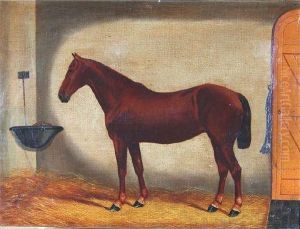 Portrait Of A Bay Hunter "polly" In A Stable