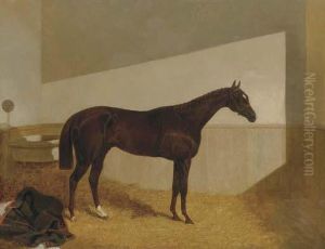 The Baron, Winner Of The St. Leger