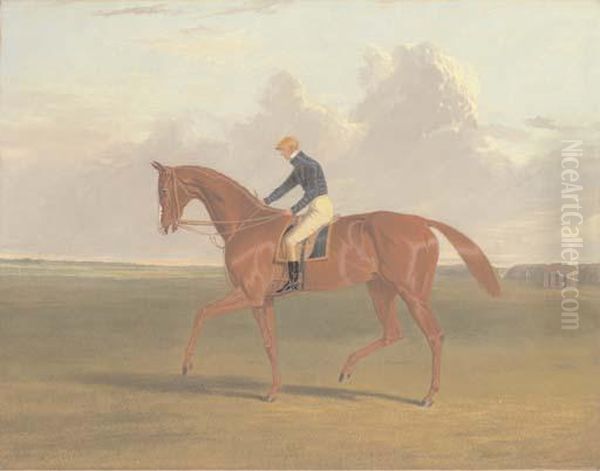 Colonel Peel's Chestnut Filly Vulture - view 1