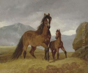 A Welsh Mountain Mare And Foal In An Upland Landscape A Welsh Mountain Mare And Foal In An Upland Landscape