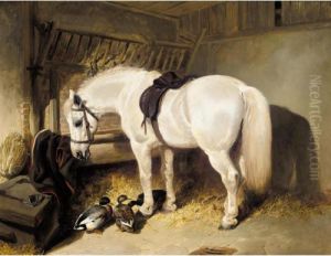 A Grey Pony In A Stable With Some Ducks