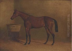 Musjid, Winner Of The Derby 1859; And Beeswing