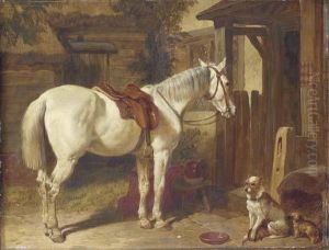 A Saddled Grey Pony And Dogs Outside An Inn