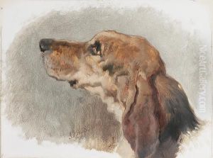 Study Of The Head Of A Hound by John Frederick Herring Snr