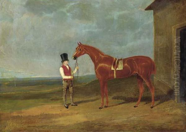 Mr. Dixon's Mountaineer, A Chestnut Colt, Held By A Groom Outside Astable - view 1