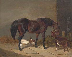 A Bay Horse With A Goat And Ducks by John Frederick Herring Snr