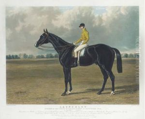Launcelot, Winner Of The Great St. Leger Stakes At Doncaster