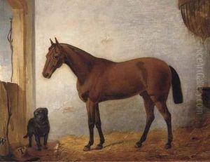 A Chestnut Hunter With A Black Labrador In A Stable