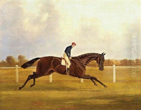Charles Xii - view 1