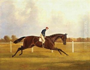 Charles Xii by John Frederick Herring Snr