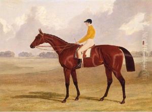 The Marquis Of Westminster's Bay Racehorse