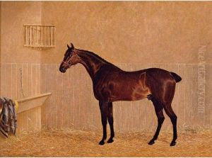 A Hunter In A Loose Box by John Frederick Herring Snr