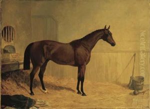 Cotherstone, A Bay Racehorse In A Stable