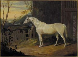 A Grey Arab Mare Outside A Stable In An Extensive River Landscape A Grey Arab Mare Outside A Stable In An Extensive River Landscape