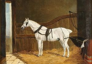 A White Cob In A Stable by John Frederick Herring Snr