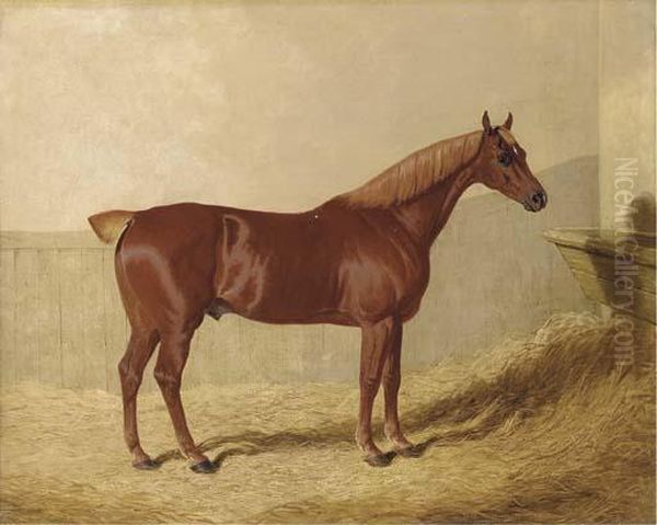 A Chestnut In A Stable - view 1