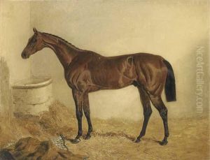 Little Wonder, Winner Of The Derby, 1840, In A Stable Little Wonder, Winner Of The Derby, 1840, In A Stable