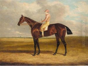 Jockey Mounted On Bay