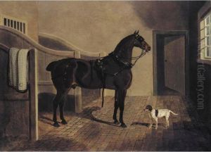 A Favorite Coach Horse And Dog In A Stable