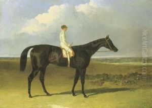 Mr O'brien's Jonathan Wild, With Jockey Up by John Frederick Herring Snr