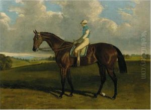 The Earl Of Chesterfield's Don John, Winner Of The 1838 St. Leger