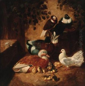 Ducks, Ducklings, Pigeons And A Dove In A Farmyard by John Frederick Herring Snr