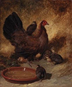 A Hen And Chicks