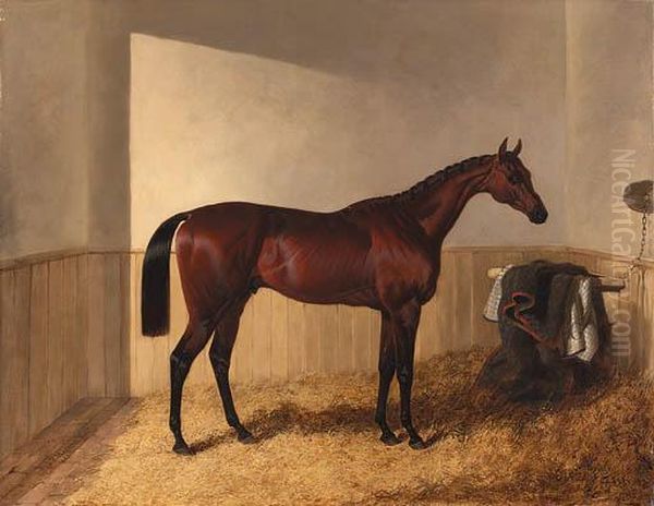 Merry Monarch In A Stable - view 1