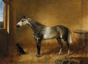 A Dappled Grey Mare And A Dog In A Stable
