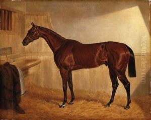 Lord Jersey's Bay Middleton In A Stable